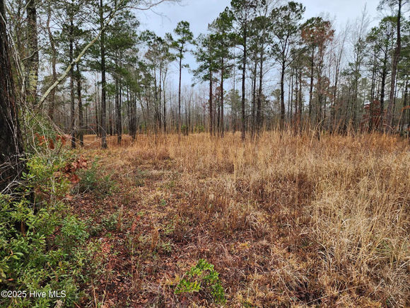 8055 N Us 17 Hwy Vanceboro, NC Plot of land Active - Photo 1 of 1. Opens carousel modal