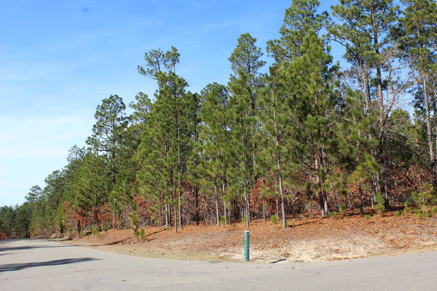 290 Morganwood Drive West End, NC Plot of land Sold - Photo 1 of 13. Opens carousel modal