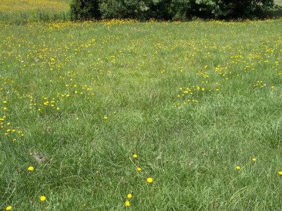 4324 Edgewater Road Elm City, NC Plot of land Sold - Photo 1 of 1. Opens carousel modal
