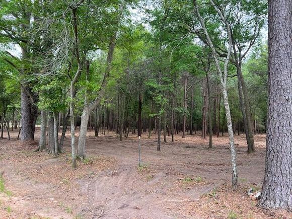 00 Kinsey Road 18+ Acres Dothan, AL Plot of land Active - Photo 1 of 16. Opens carousel modal