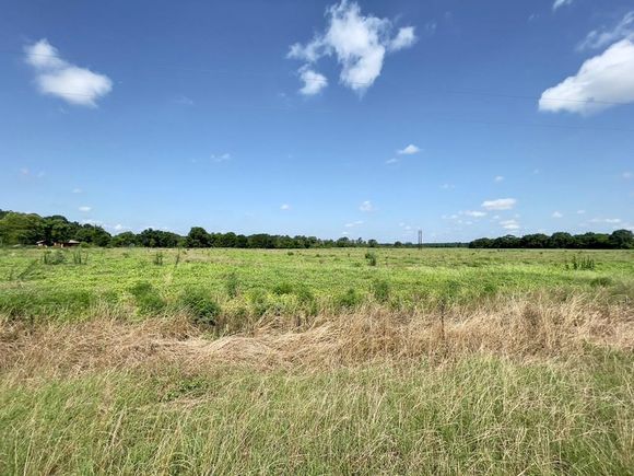 490 Bill Yance Road Webb, AL Plot of land Contingent - Photo 1 of 10. Opens carousel modal
