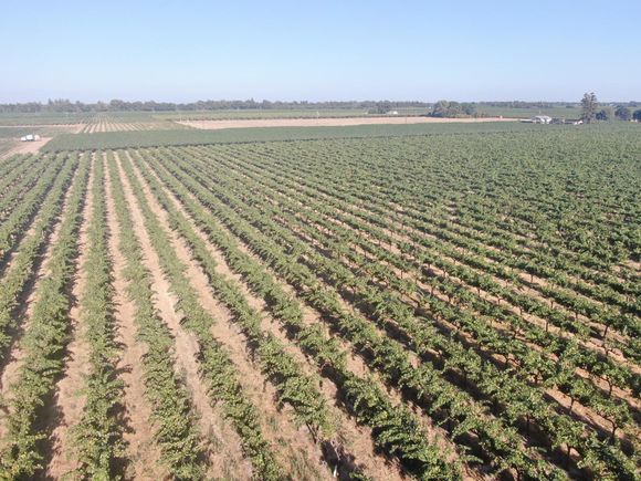 23181 N Davis Road Lodi, CA Plot of land Active - Photo 1 of 4. Opens carousel modal