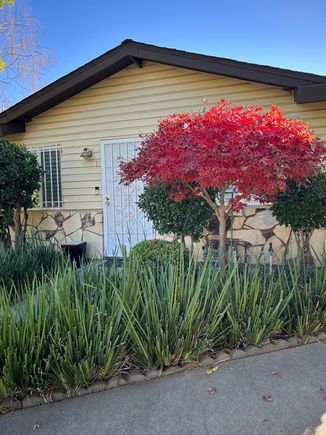9058 Montoya Street Unit 1 Sacramento, CA Condo Active - Photo 1 of 16. Opens carousel modal