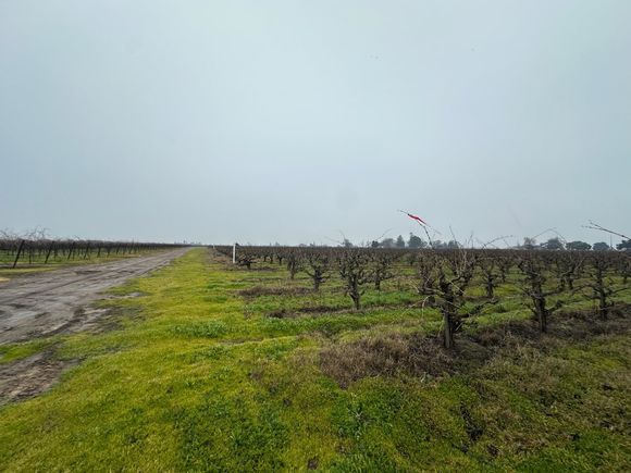 17600 N Devries Road Lodi, CA Plot of land Sold - Photo 1 of 1. Opens carousel modal
