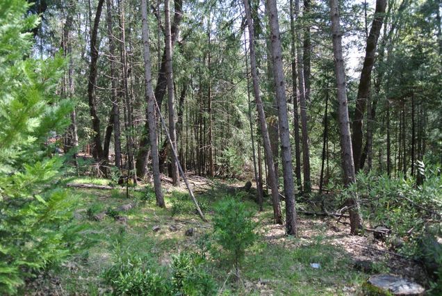 5117 Cold Springs Drive Foresthill, CA Plot of land Active - Photo 1 of 19. Opens carousel modal