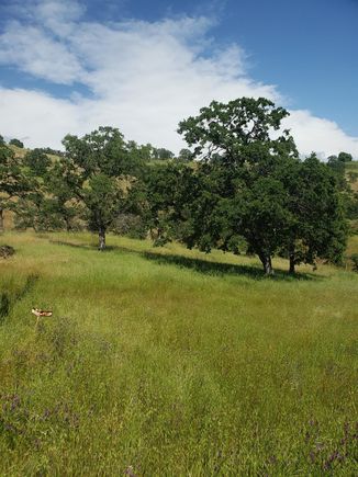9696 Villarreal La Grange, CA Land Active - Photo 1 of 6. Opens carousel modal