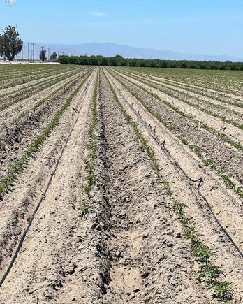 9375 Crows Landing Road Ceres, CA Plot of land Sold - Photo 1 of 1. Opens carousel modal