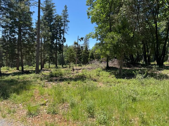 20710 Foresthill Road Foresthill, CA Land Active - Photo 1 of 12. Opens carousel modal