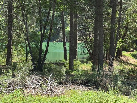 20710 Foresthill Road Foresthill, CA Land Active - Photo 1 of 11. Opens carousel modal