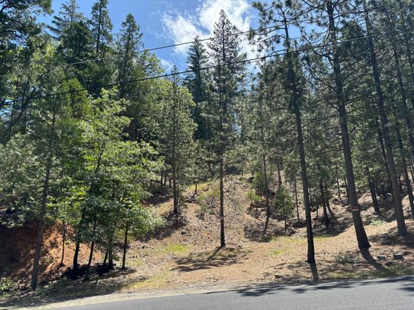2683 W Mokelumne Road Arnold, CA Plot of land Sold - Photo 1 of 1. Opens carousel modal