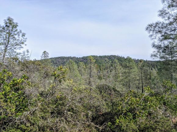 2080 Daffodil Georgetown, CA Plot of land Active - Photo 1 of 26. Opens carousel modal