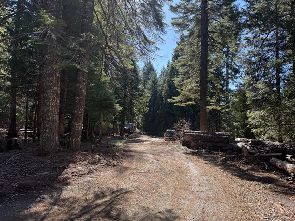 11712 Casci Road Nevada City, CA Plot of land Sold - Photo 1 of 1. Opens carousel modal
