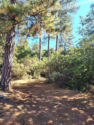 10550 Tabeaud Road Pine Grove, CA Plot of land Active - Photo 1 of 6. Opens carousel modal