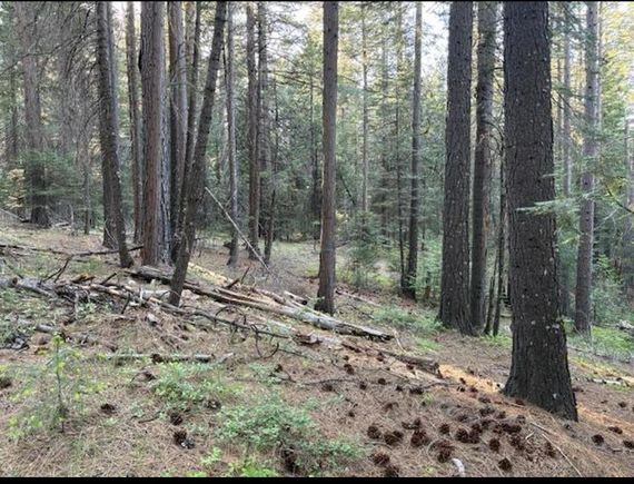 30115 N Bloomfield Graniteville Road Nevada City, CA Plot of land Active - Photo 1 of 3. Opens carousel modal
