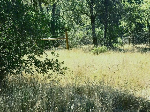 48 Rices Texas Hill Road Oregon House, CA Plot of land Active - Photo 1 of 20. Opens carousel modal