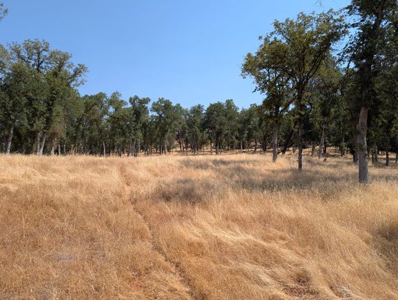 18340 Henry D. Court Sonora, CA Plot of land Active - Photo 1 of 15. Opens carousel modal