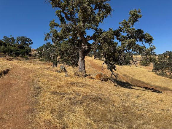 9786 Mirasol Way La Grange, CA Plot of land Active - Photo 1 of 14. Opens carousel modal