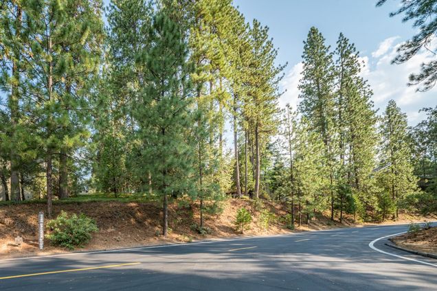 51 Canterwood Lane Murphys, CA Plot of land Active - Photo 1 of 17. Opens carousel modal