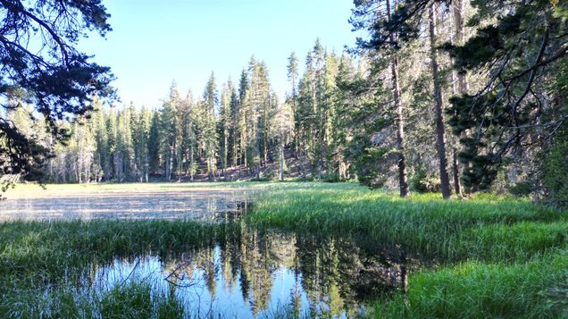 0 Forest 41 Road Soda Springs, CA Plot of land Active - Photo 1 of 30. Opens carousel modal