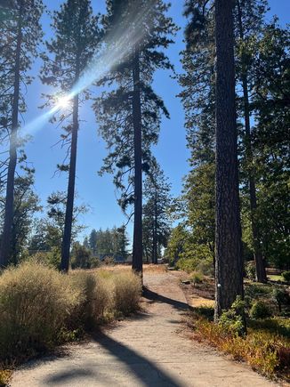 6150 Coral Avenue Paradise, CA Plot of land Active - Photo 1 of 6. Opens carousel modal