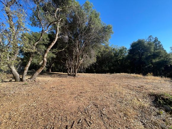 3542 Cedar Ravine Road Placerville, CA Plot of land Active - Photo 1 of 7. Opens carousel modal