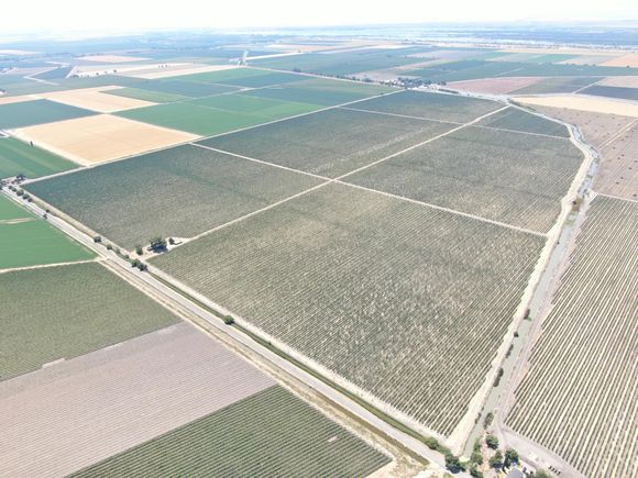 48450 W Sutter Rd Clarksburg, CA Plot of land Active - Photo 1 of 10. Opens carousel modal