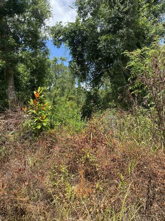 SW Main Street Greenville, FL Plot of land Active - Photo 1 of 11. Opens carousel modal