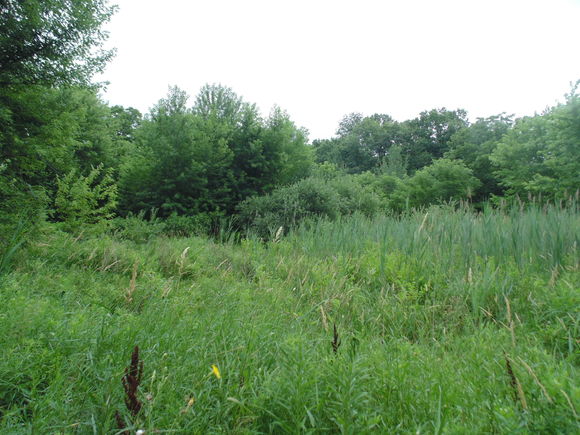 2899 State Street Lake Station, IN Plot of land Active - Photo 1 of 1. Opens carousel modal