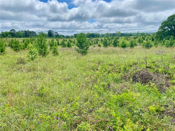 12977 Lee Road 72 Camp Hill, AL Plot of land Pending - Photo 1 of 6. Opens carousel modal