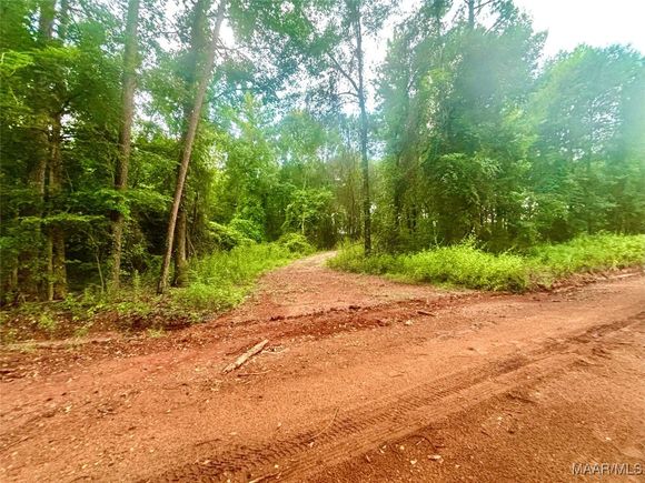 101 Tyson Lane Greenville, AL Plot of land Active - Photo 1 of 2. Opens carousel modal