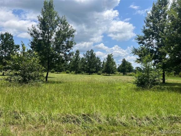 0 County Road 953 Road Orrville, AL Plot of land Active - Photo 1 of 2. Opens carousel modal