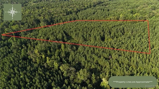 9 Williams Drive Dadeville, AL Plot of land Active - Photo 1 of 10. Opens carousel modal