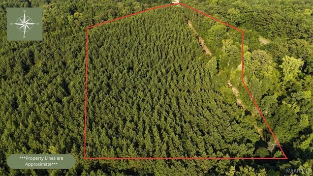 10 William Drive Dadeville, AL Plot of land Active - Photo 1 of 10. Opens carousel modal