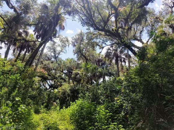 Tract #15 Main Avenue PALMDALE, FL Plot of land Sold - Photo 1 of 17. Opens carousel modal