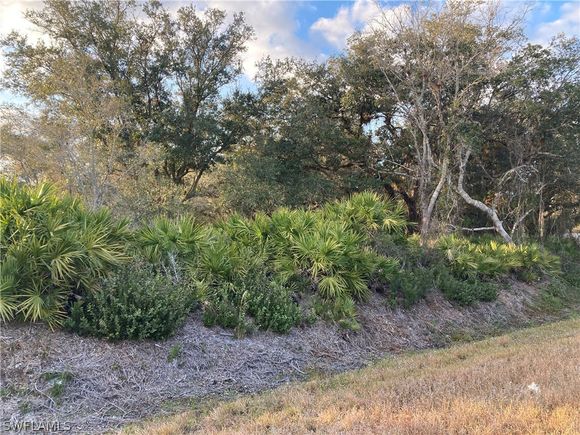 7853 Main Avenue PALMDALE, FL Plot of land Sold - Photo 1 of 8. Opens carousel modal