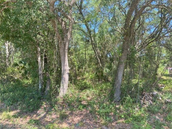 8012 Oak (5th St) Avenue PALMDALE, FL Plot of land Sold - Photo 1 of 3. Opens carousel modal