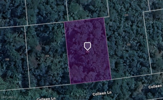 228 Coleen Lane Lake Placid, FL Plot of land Active - Photo 1 of 2. Opens carousel modal