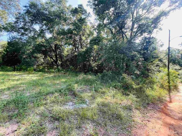 0000 Hydrangea St Milton, FL Plot of land Active - Photo 1 of 4. Opens carousel modal