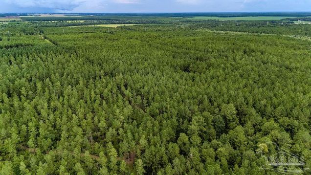 19.58 Sage Forest Ln Pace, FL Plot of land Active - Photo 1 of 43. Opens carousel modal