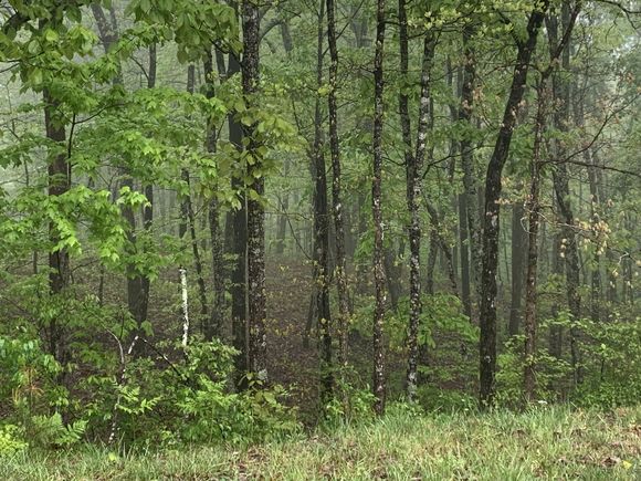 225 Prospectors Way Unit Rb-223 Jasper, TN Plot of land Active - Photo 1 of 29. Opens carousel modal