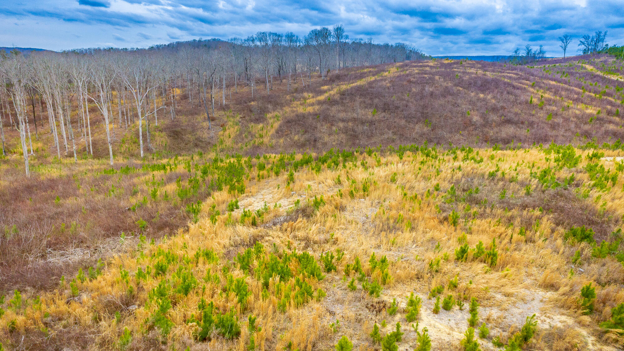 0 Nellie Ln, Trion, GA 30753 Estately 🧡 MLS 1387446