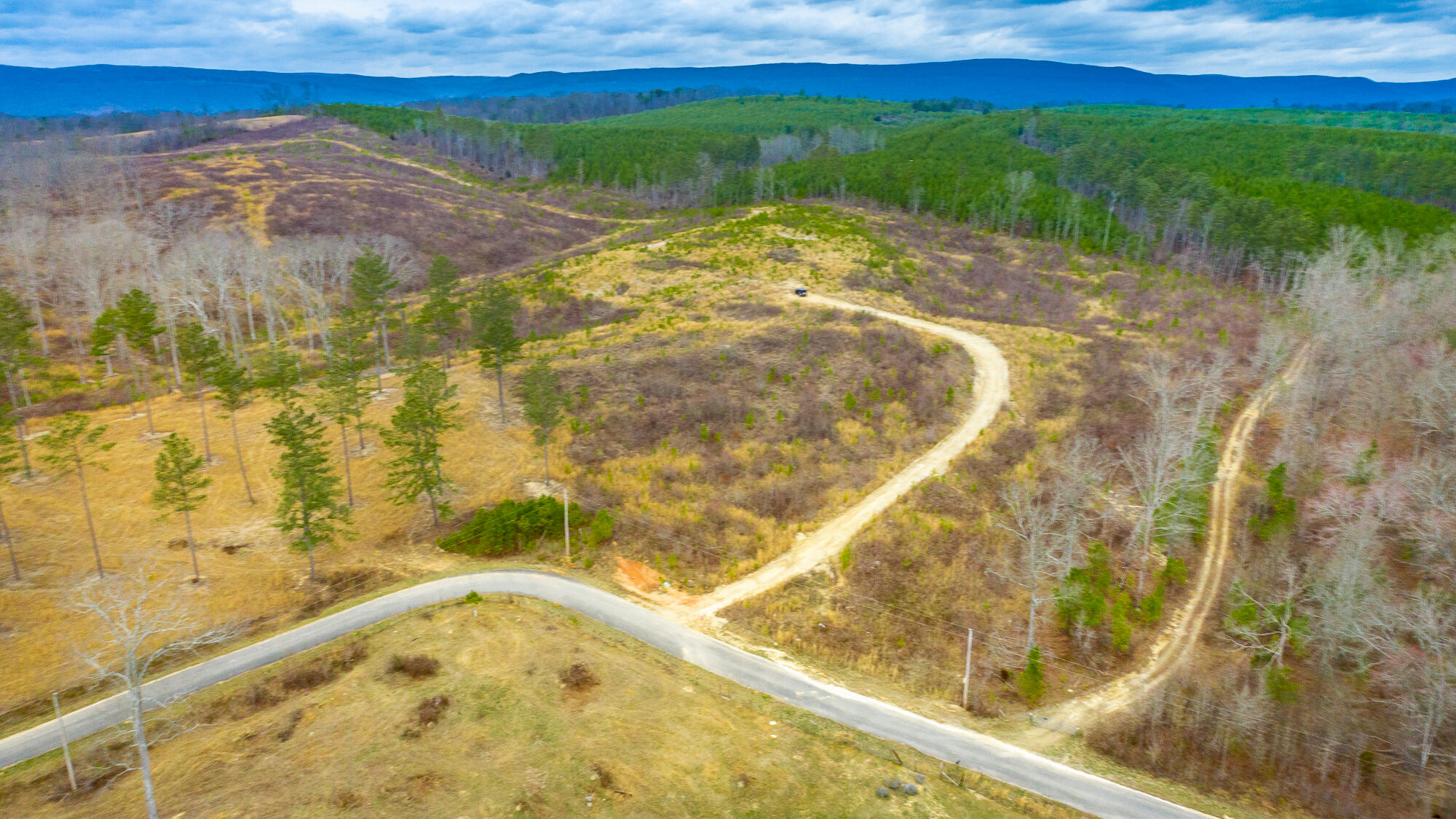 0 Nellie Ln, Trion, GA 30753 Estately 🧡 MLS 1387446