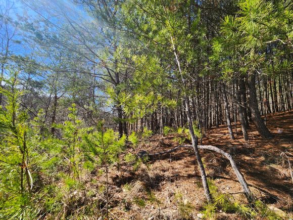 0 Nicole Drive Unit 21a Dayton, TN Plot of land Active - Photo 1 of 9. Opens carousel modal
