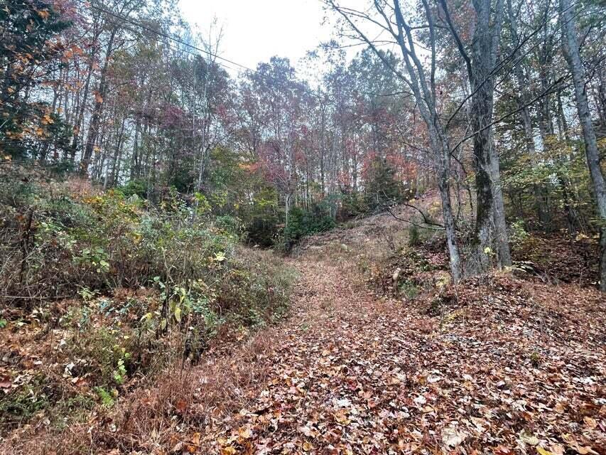 02 Pitts Gap Mountain Rd, Pikeville, TN 37367 Estately 🧡 MLS 1502605