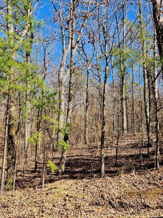 0 Northwoods Lane Unit 15 Trenton, GA Plot of land Active - Photo 1 of 16. Opens carousel modal