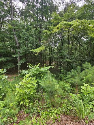 0 Pineywood Drive Ringgold, GA Plot of land Active - Photo 1 of 9. Opens carousel modal
