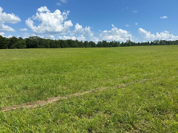18 Mccabe Road Spring City, TN Land Active - Photo 1 of 16. Opens carousel modal