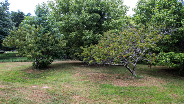 0 Pikes Drive Unit Lot 6 Trenton, GA Plot of land Active - Photo 1 of 11. Opens carousel modal