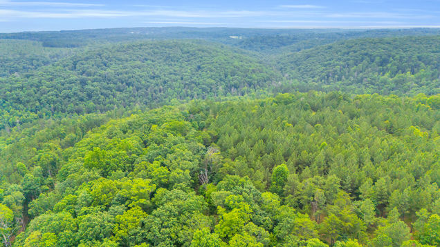 0 Worley Road Unit Lot 44 Soddy Daisy, TN Plot of land Pending - Photo 1 of 1. Opens carousel modal