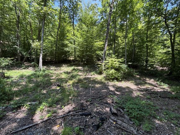 0 Deer Ridge Estates Road Whitwell, TN Plot of land Active - Photo 1 of 35. Opens carousel modal